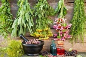 Herbs for potential